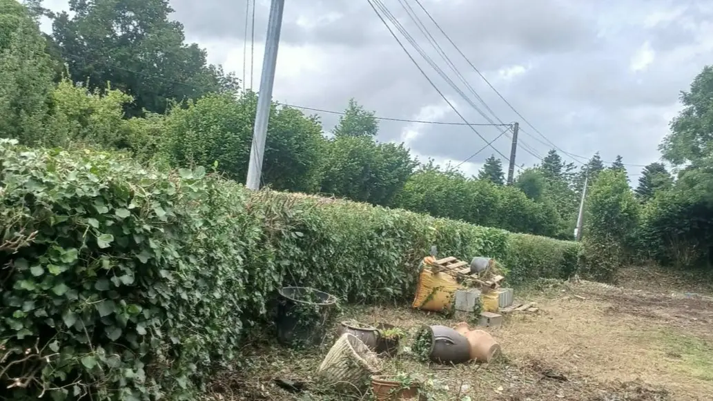 Après : haie rabattue et abords dégagés en bord de route