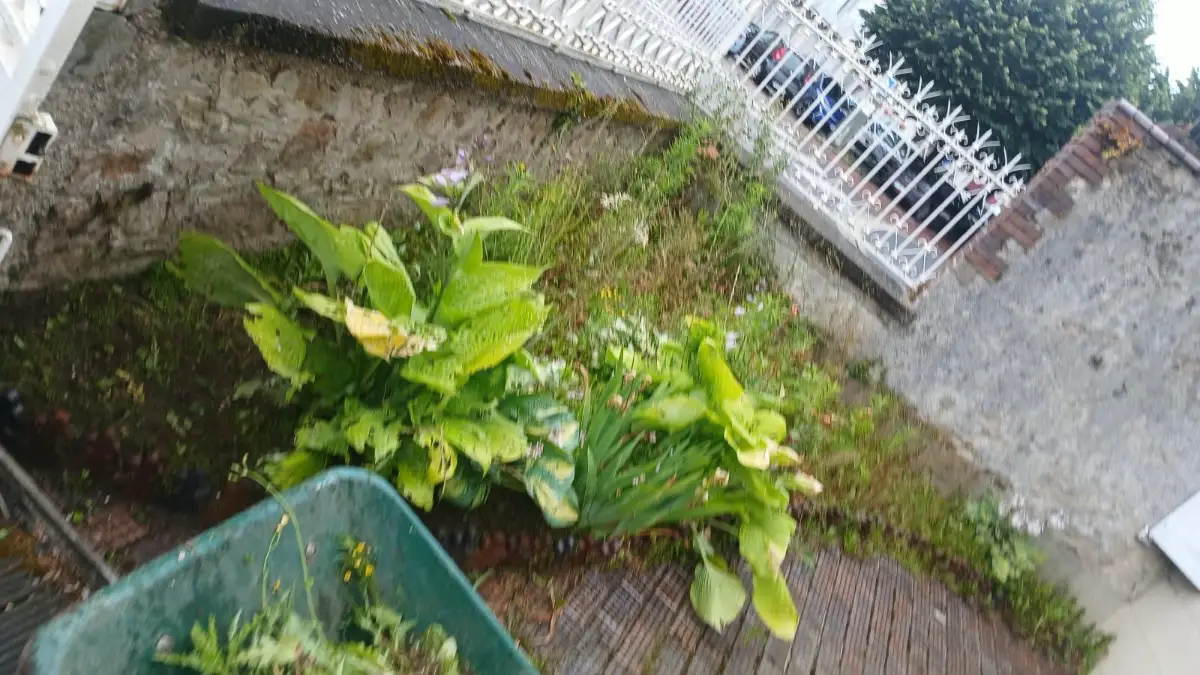 Avant : massif en façade envahi par les herbes